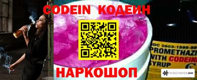 индика Комсомольск-на-Амуре