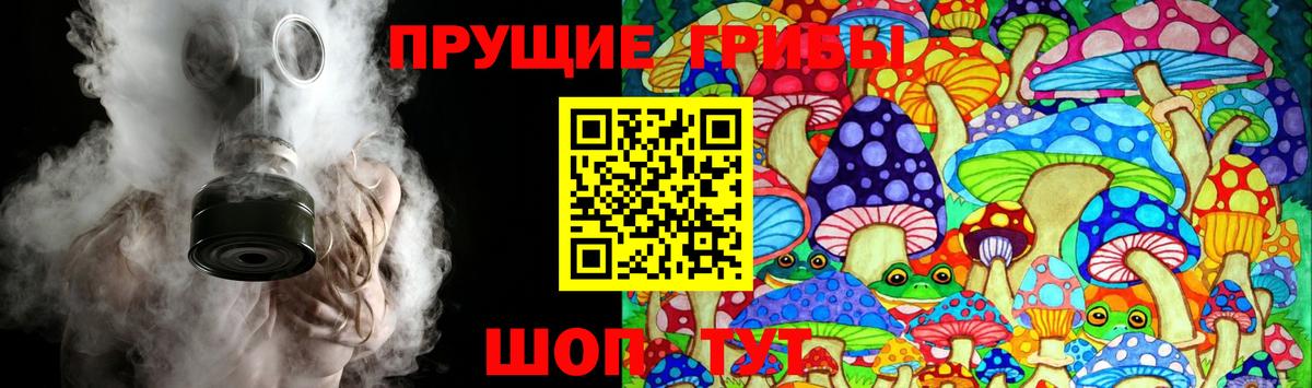 Псилоцибиновые грибы Magic Shrooms  Вход с VPN  Ейск 