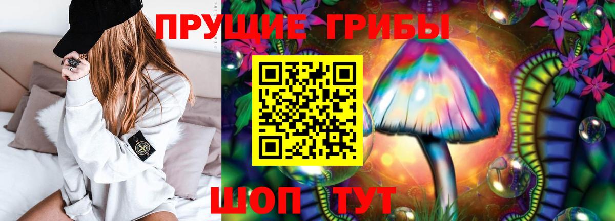 Галлюциногенные грибы Psilocybe Ейск